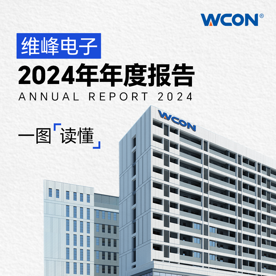 2024年年報(bào)